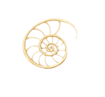 Nautilus